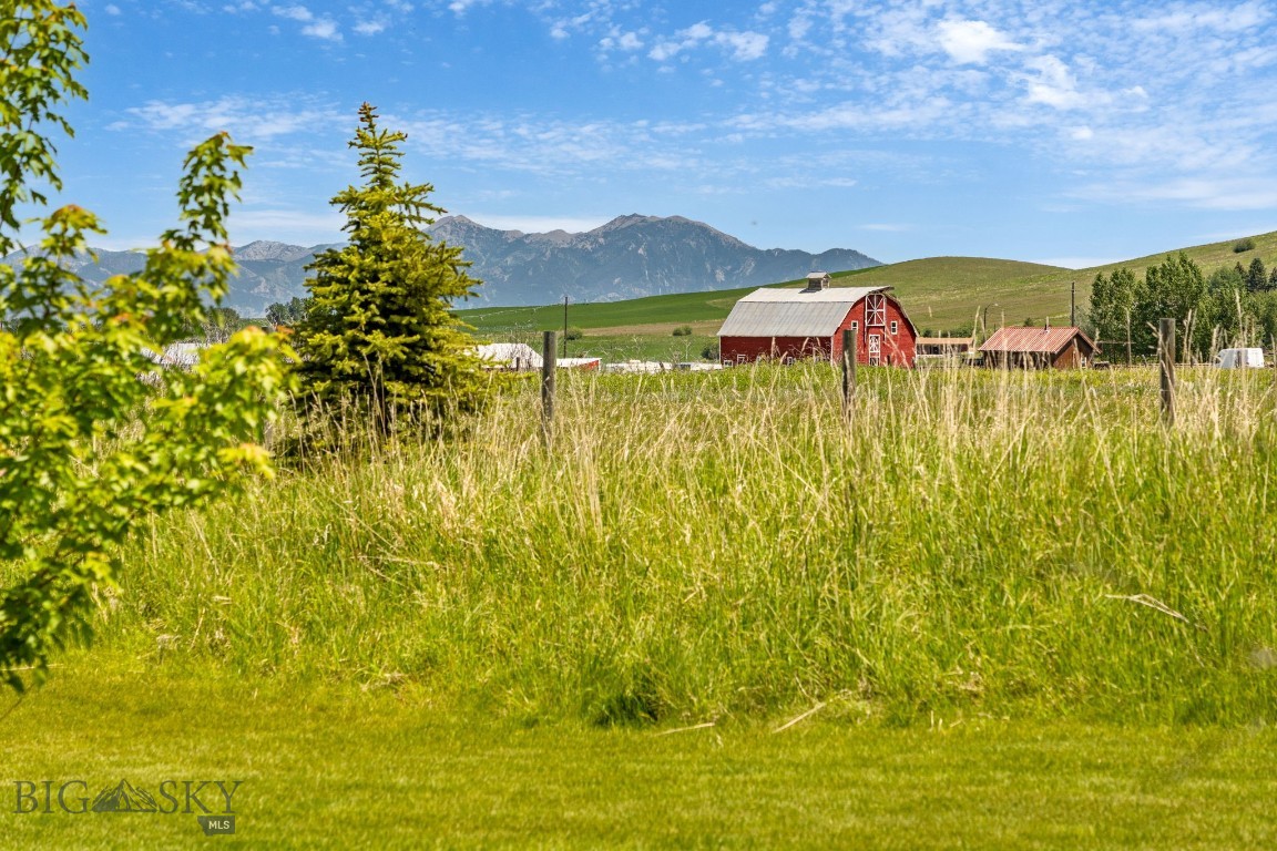 37 Cinnamon Bear Court