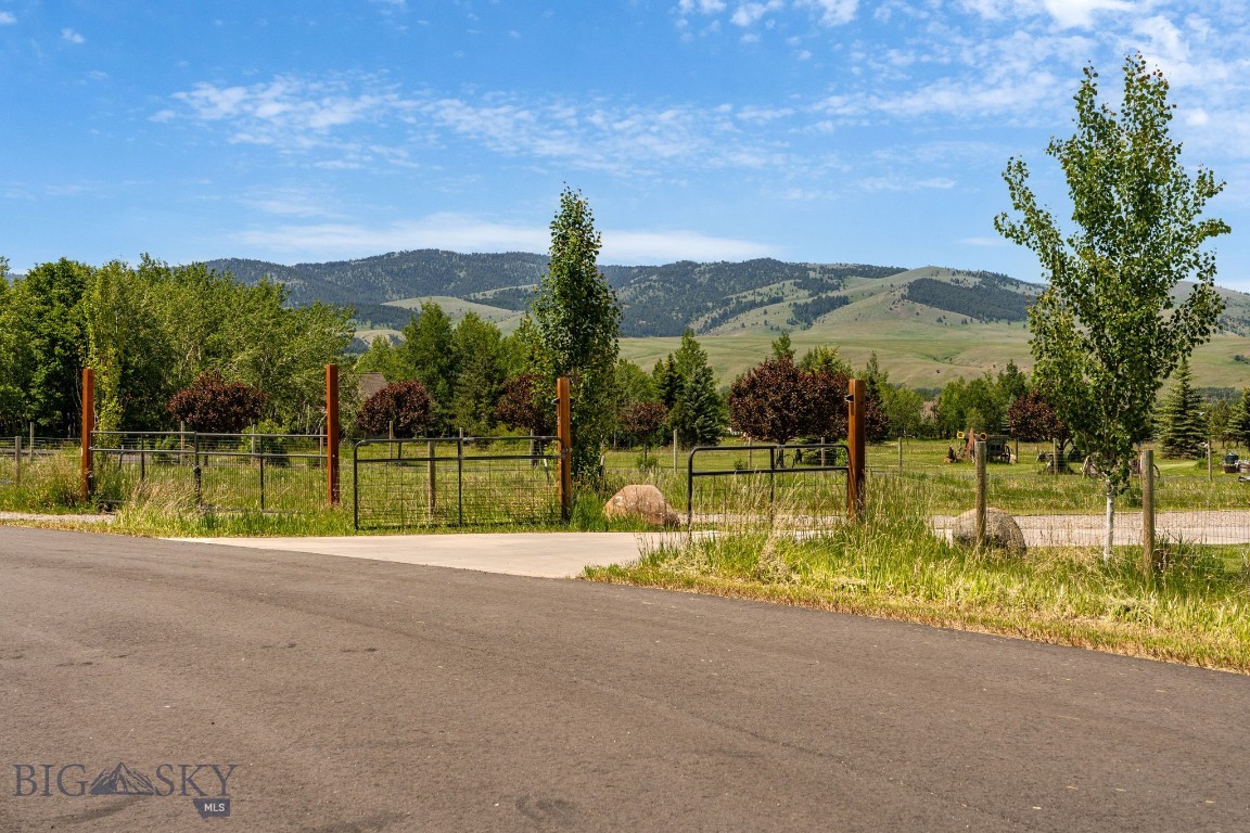 37 Cinnamon Bear Court