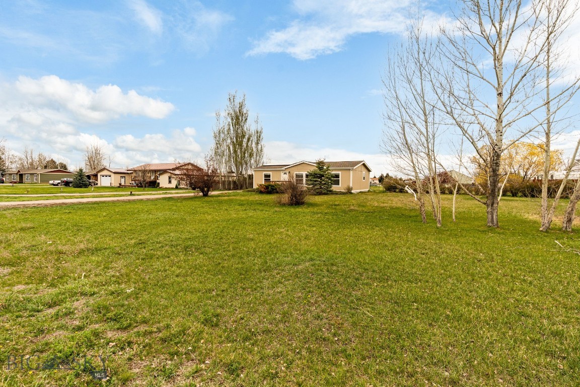 205 Tracy Ann Drive