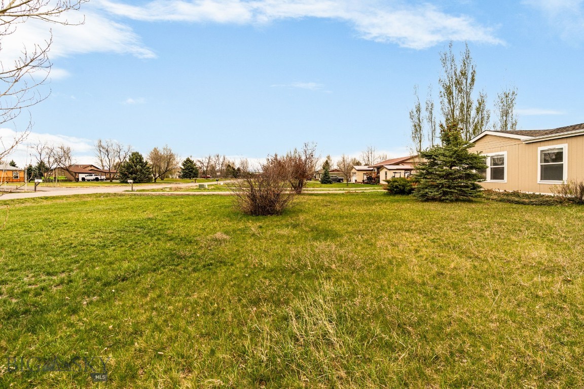 205 Tracy Ann Drive