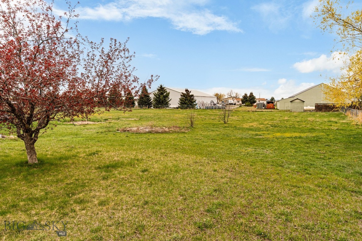 205 Tracy Ann Drive