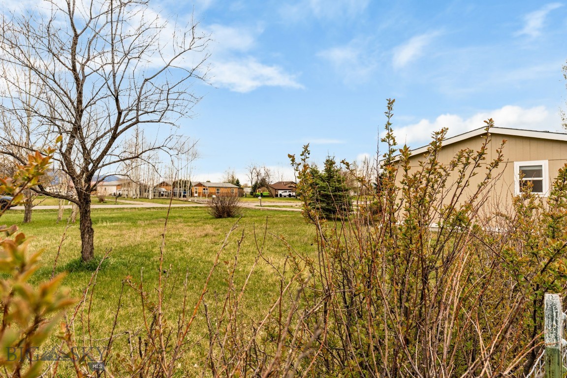 205 Tracy Ann Drive