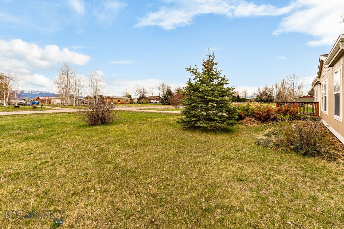 205 Tracy Ann Drive