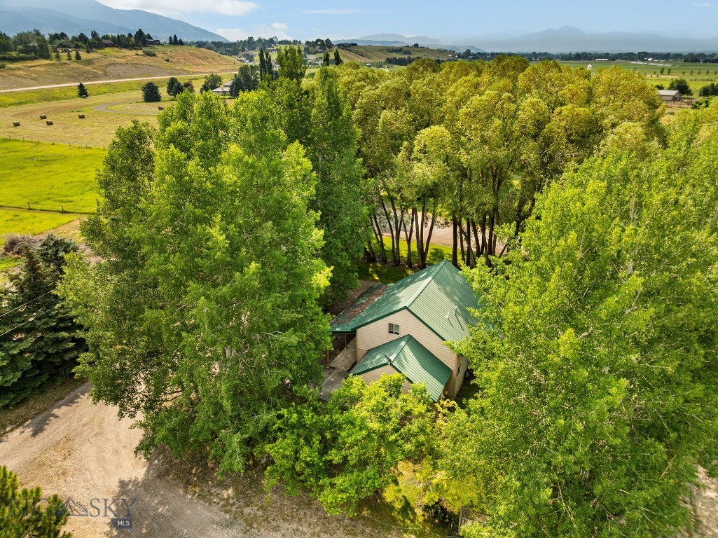 50 Tylers Trail