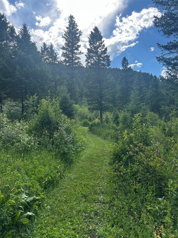 3395 Trail Creek Road