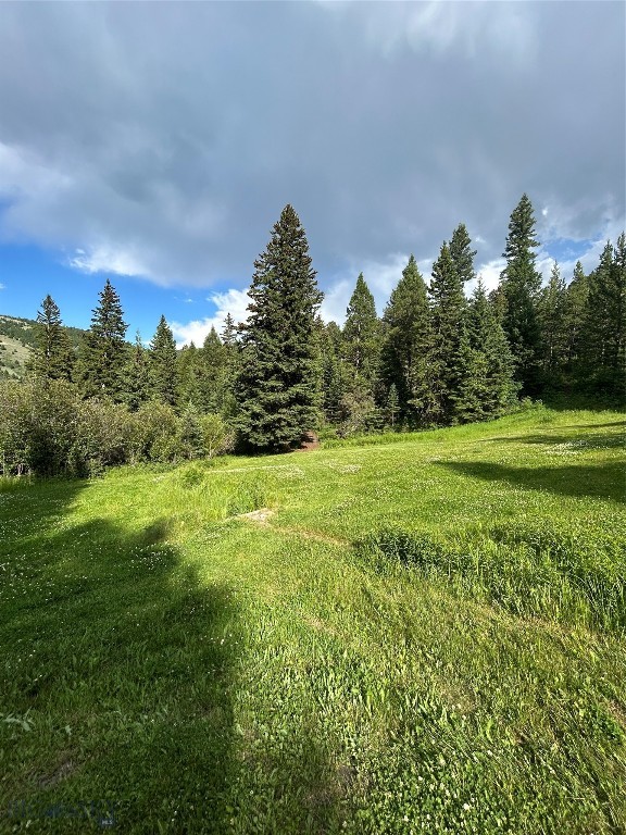 3395 Trail Creek Road