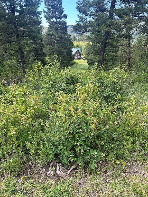 3395 Trail Creek Road