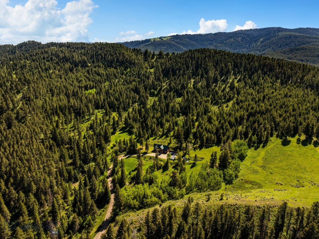 3395 Trail Creek Road