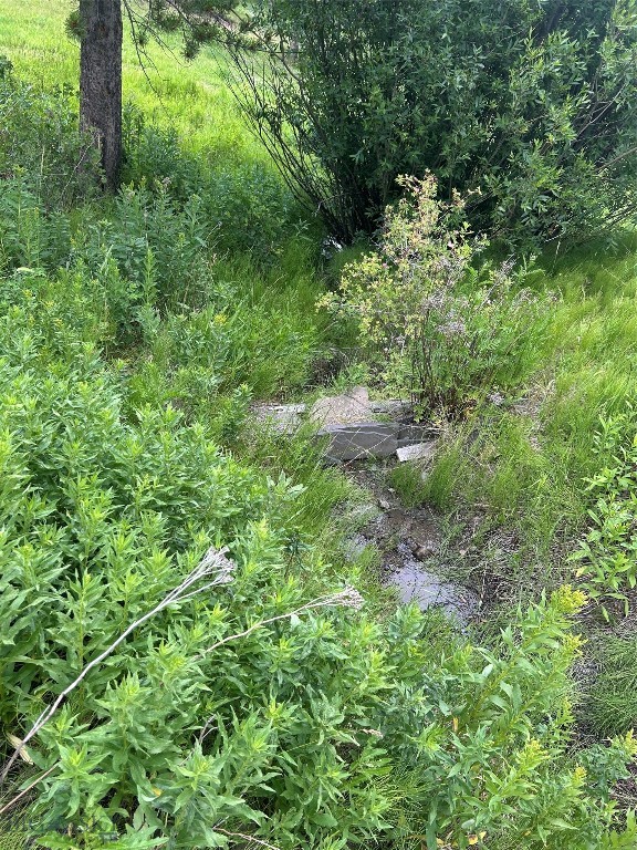 3395 Trail Creek Road