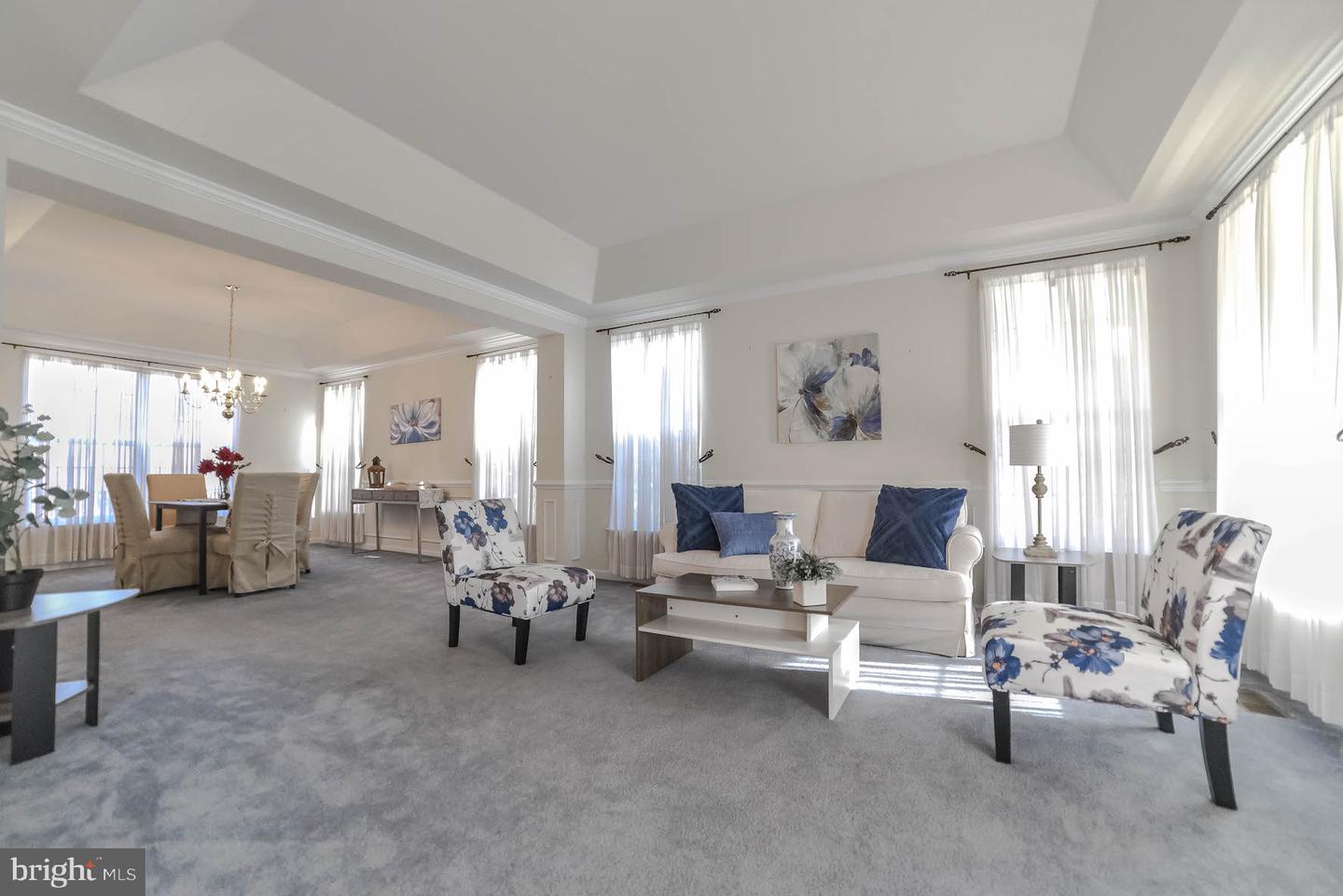 20801 BROOK MILL COURT
