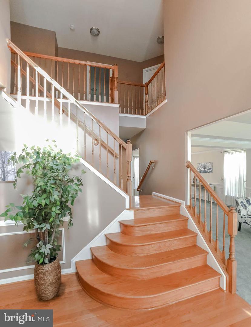 20801 BROOK MILL COURT