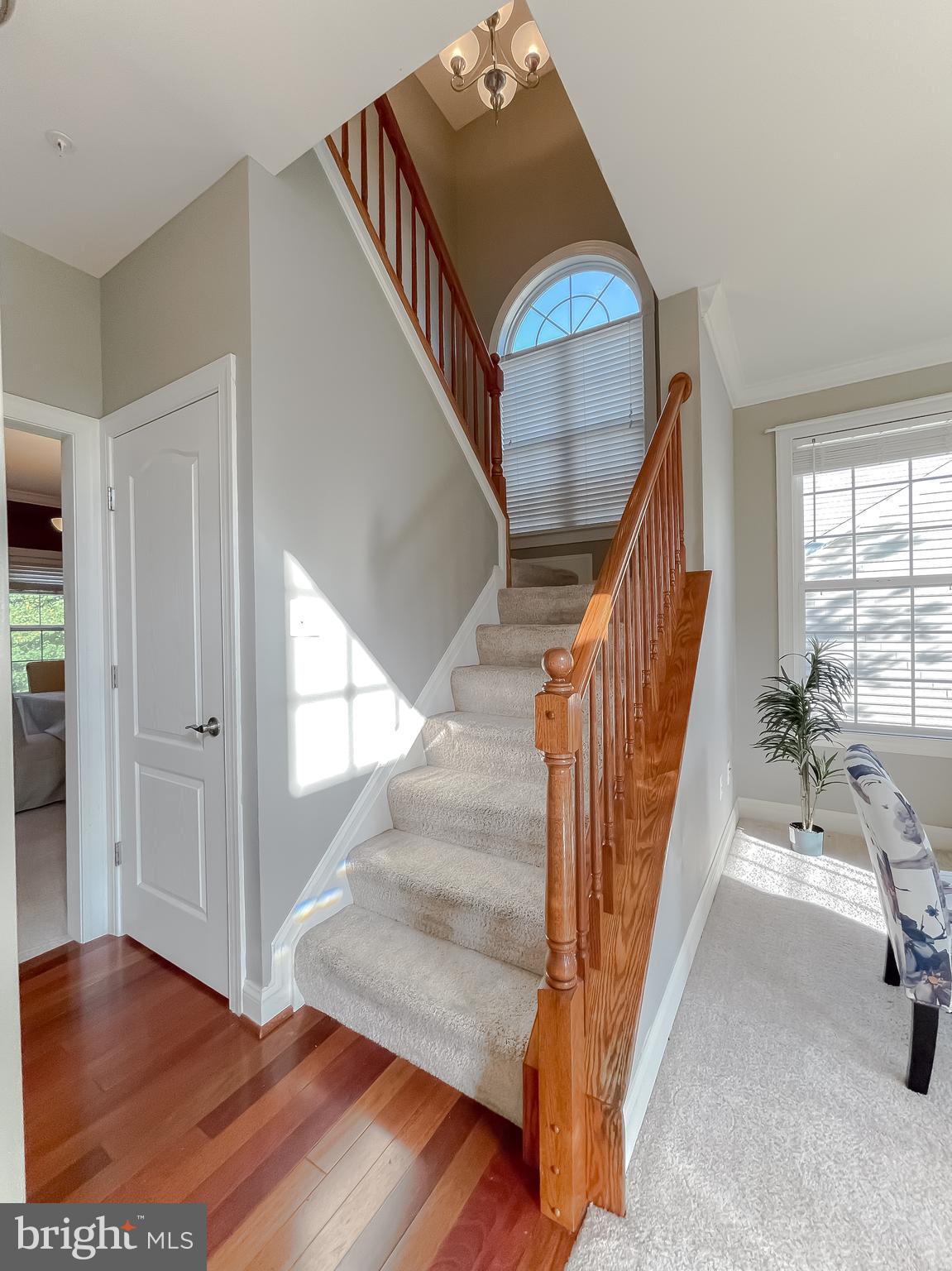 20815 ROSSLARE COURT