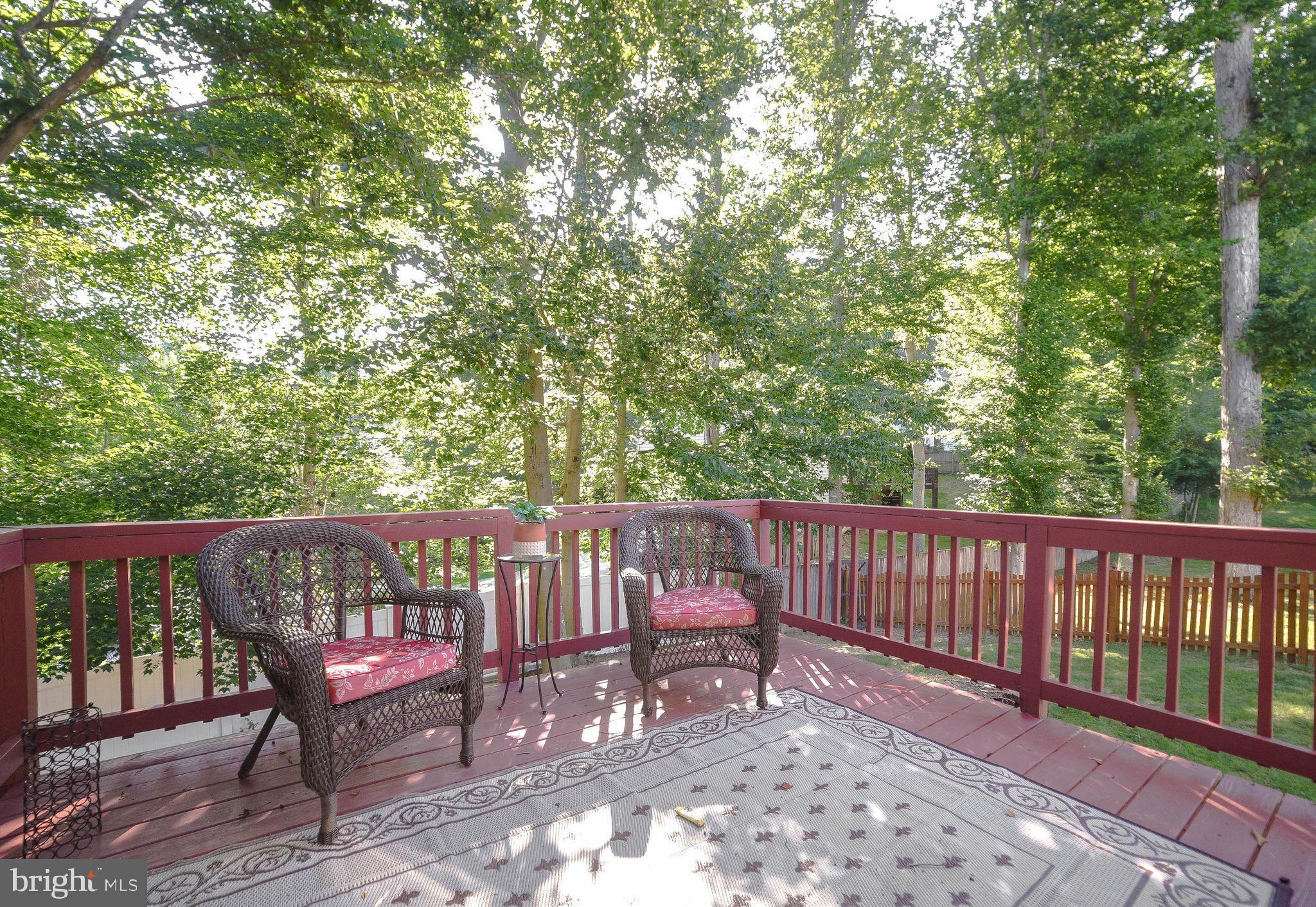 41910 NAZARETH COURT