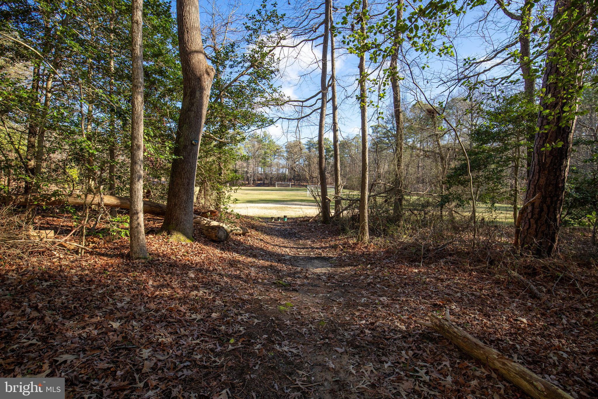 23300 White Elm COURT