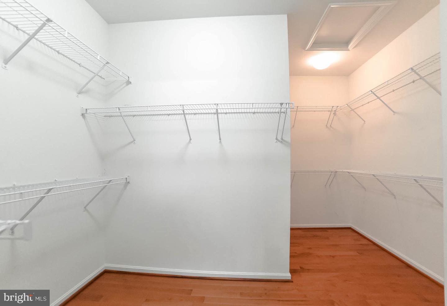 23249 WILD DAISY WAY