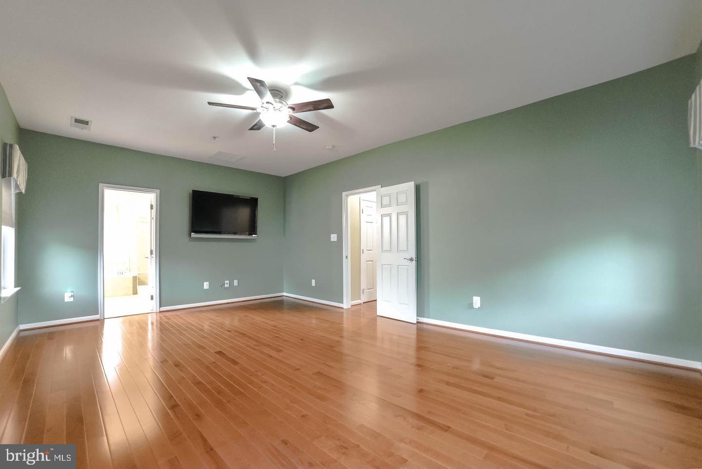 23249 WILD DAISY WAY