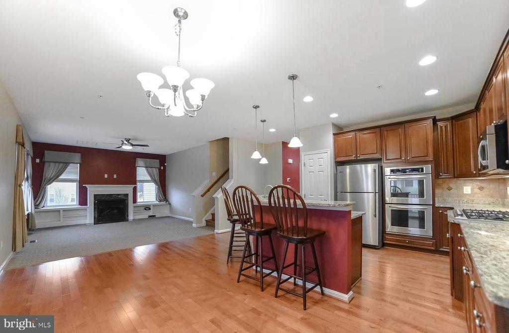 23249 WILD DAISY WAY
