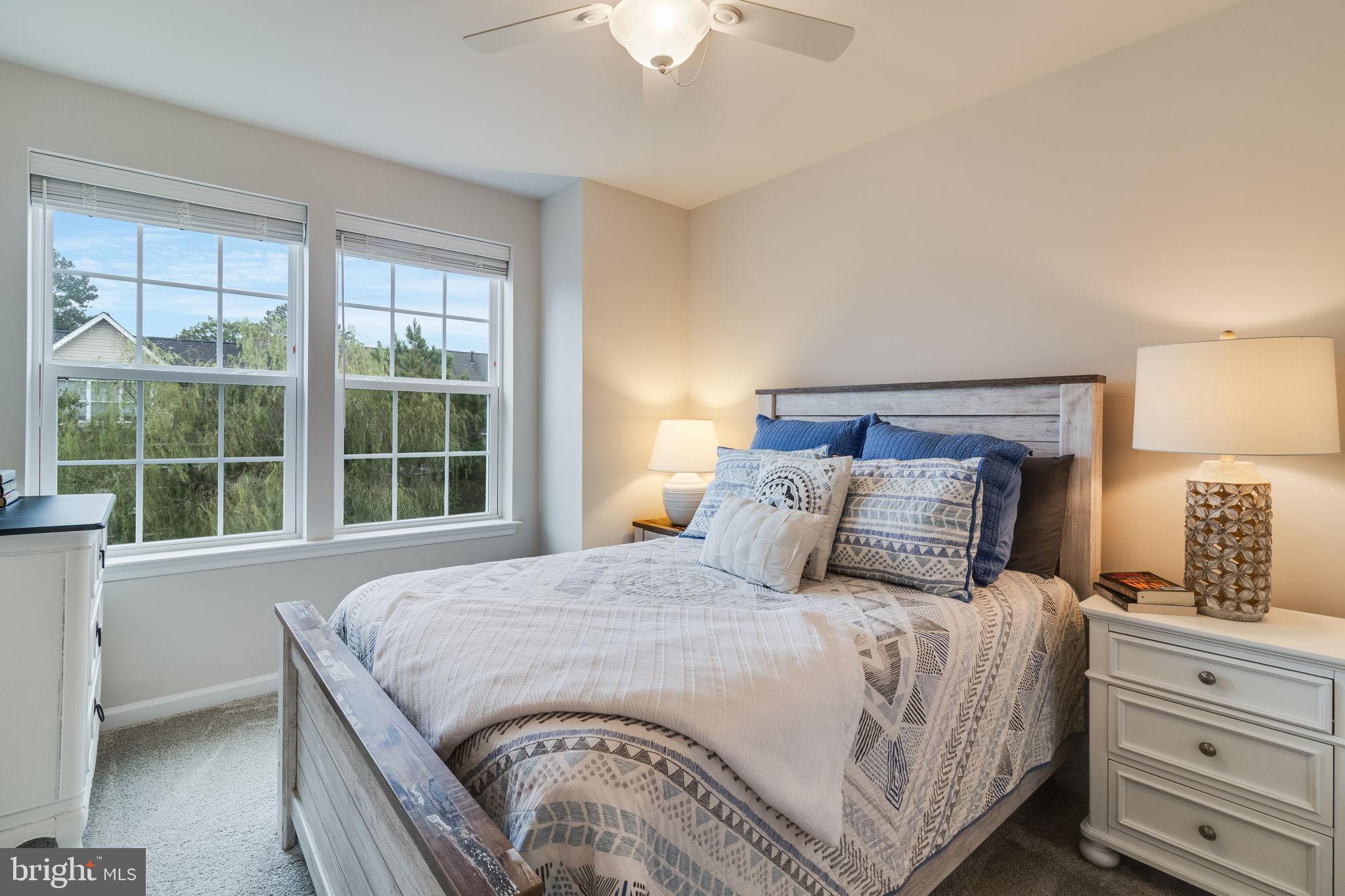 44183 GOLDENZELLE WAY