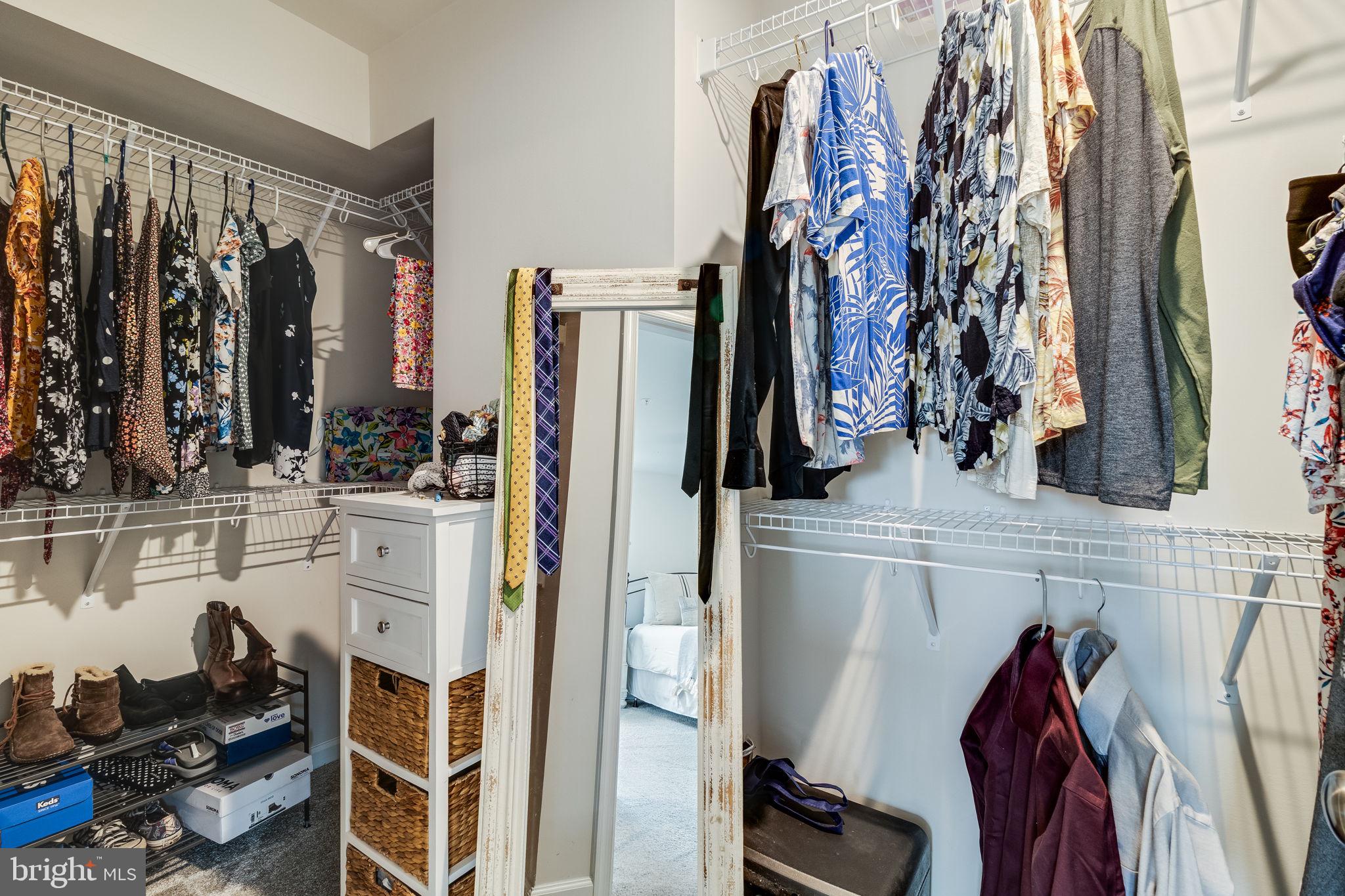 44183 GOLDENZELLE WAY