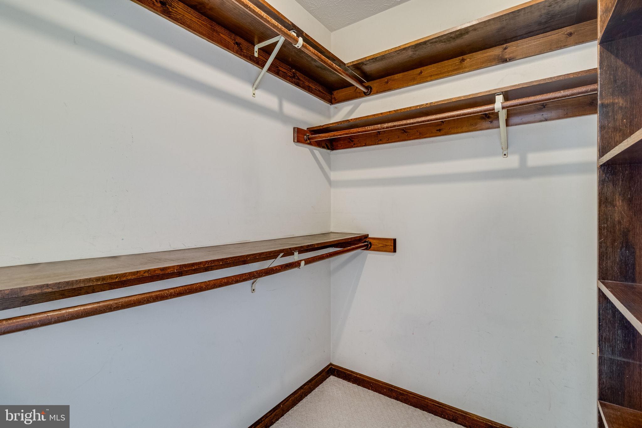 23295 WHITE ELM COURT