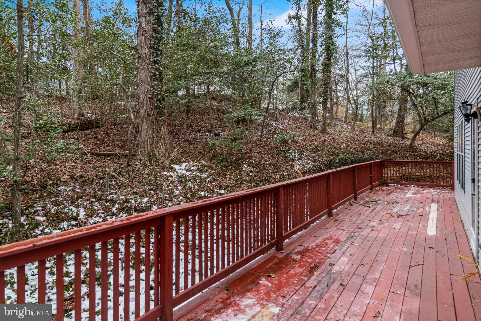 23295 WHITE ELM COURT