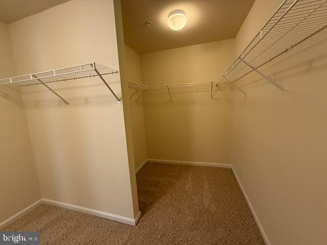 41386 MARGROVE CIRCLE