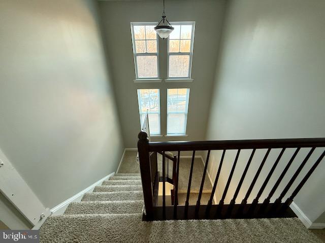 41386 MARGROVE CIRCLE