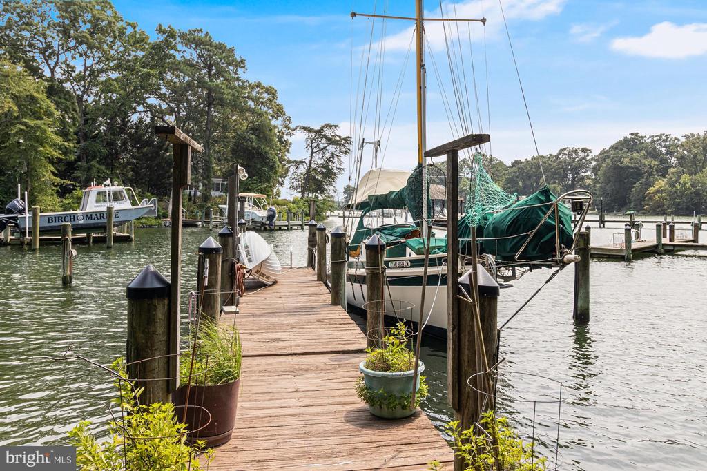 47558 LUCAS COVE LANE