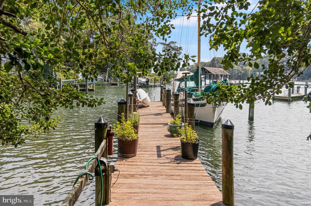 47558 LUCAS COVE LANE