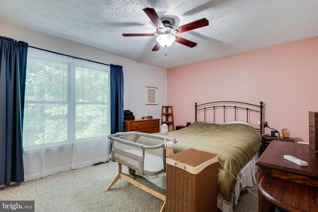 21395 CARMEN WOODS DRIVE