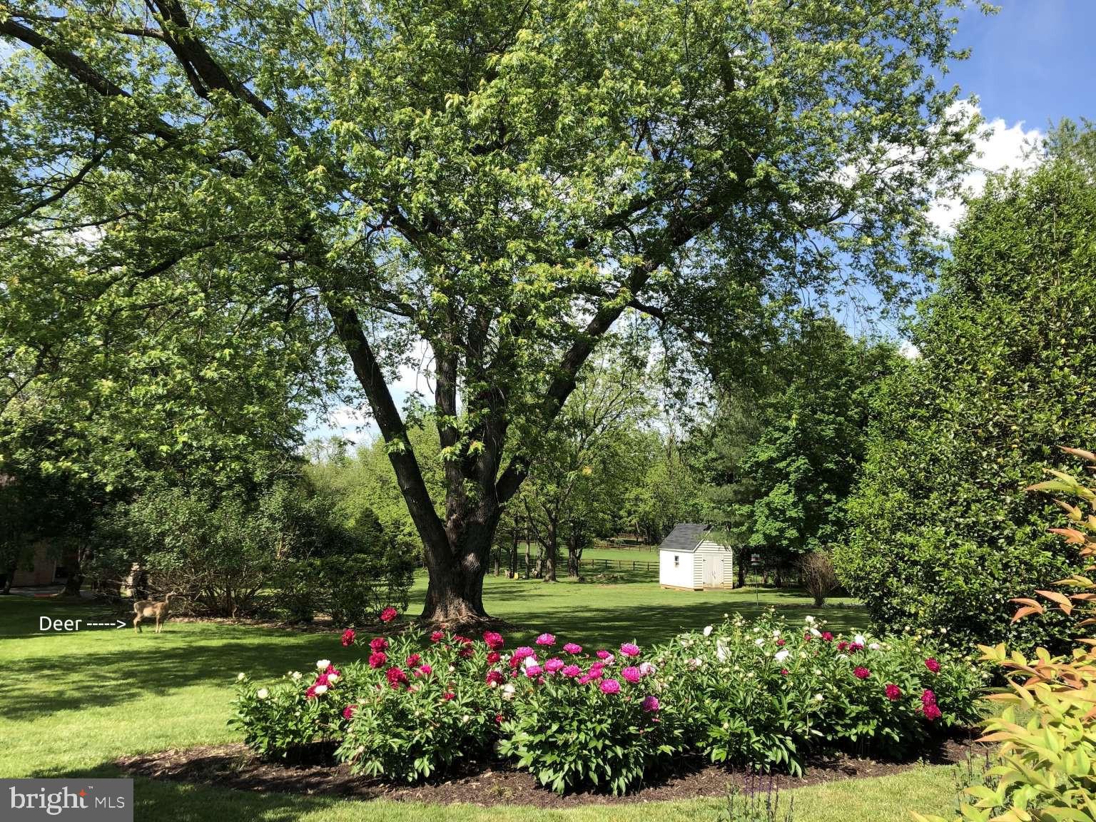 20901 LOCHAVEN COURT