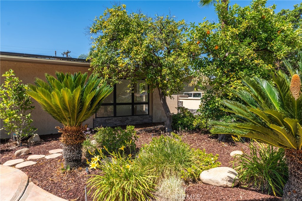 1244 W Highland