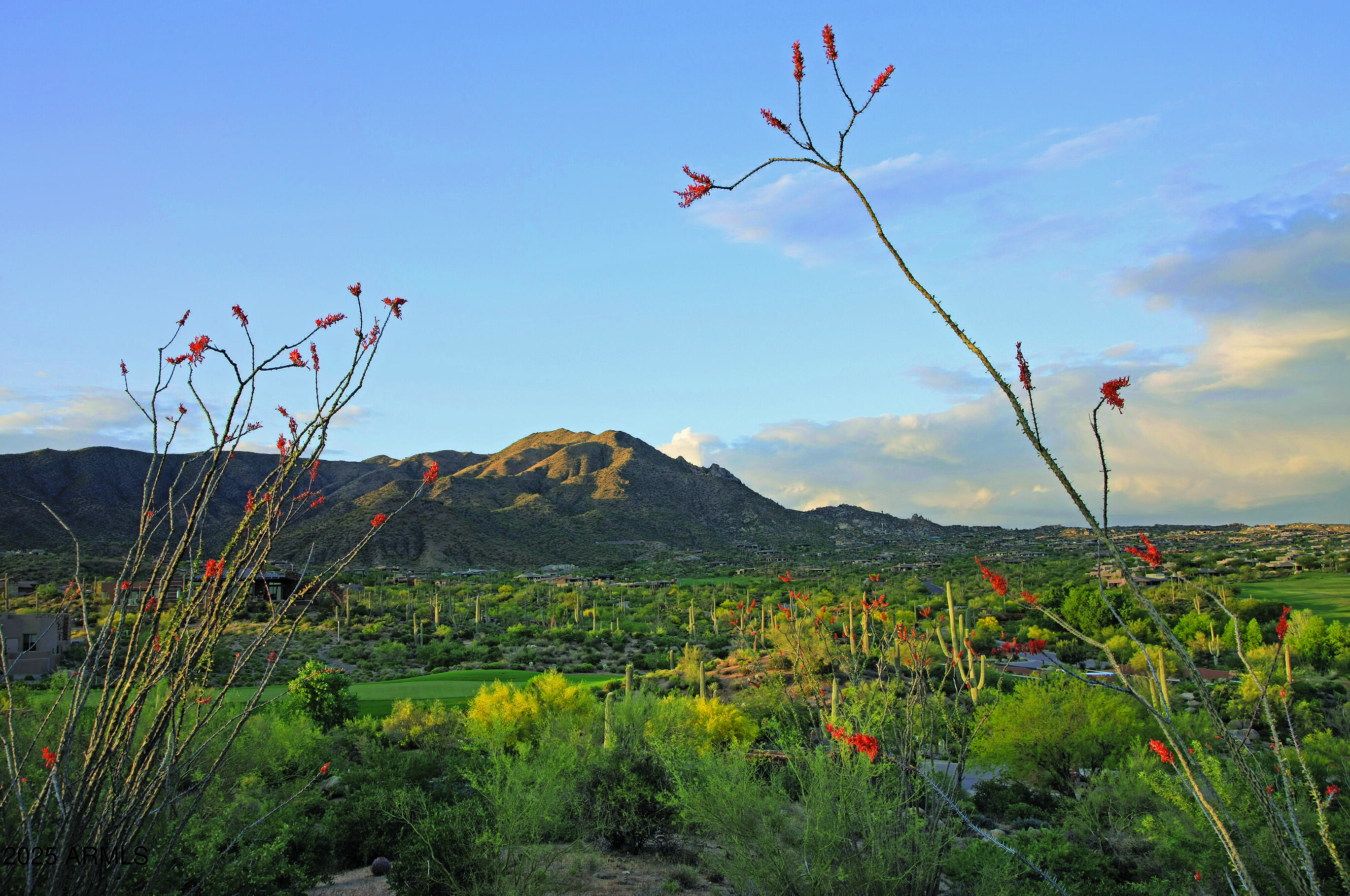 37200 N CAVE CREEK Road # 2127