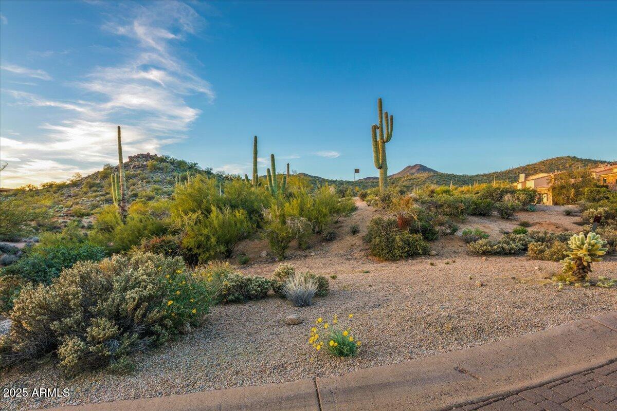 40806 N 94TH Street 273