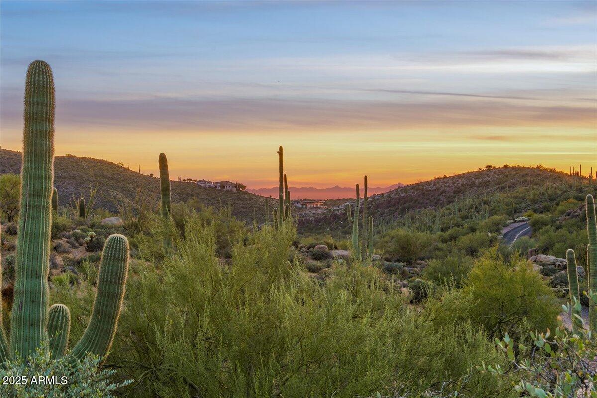 40806 N 94TH Street 273