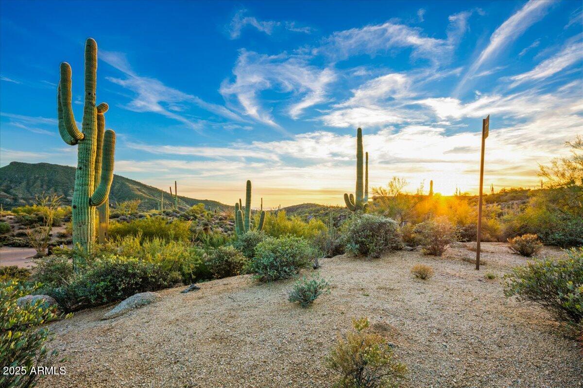 40806 N 94TH Street 273