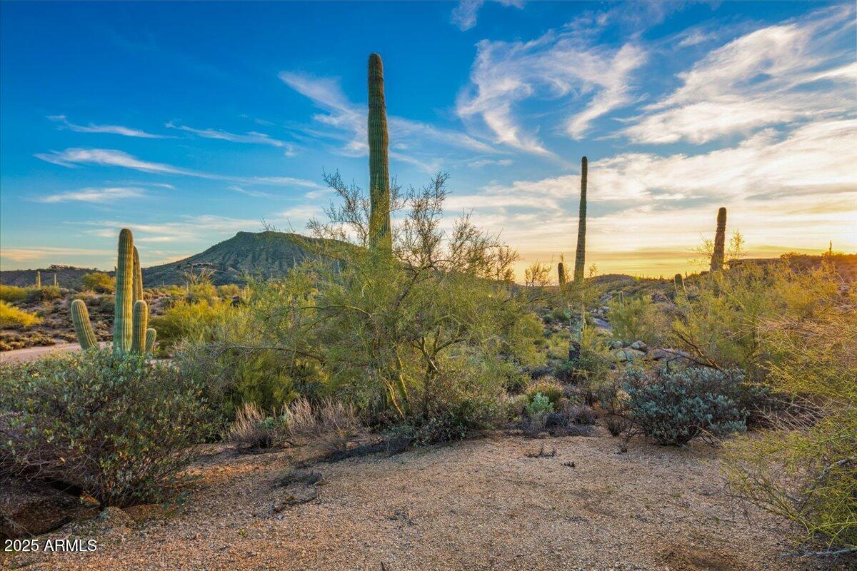 40806 N 94TH Street 273