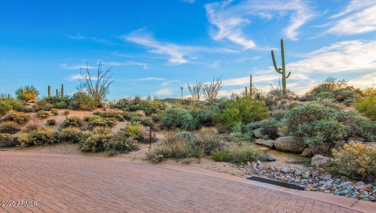 40790 N 94TH Street 272