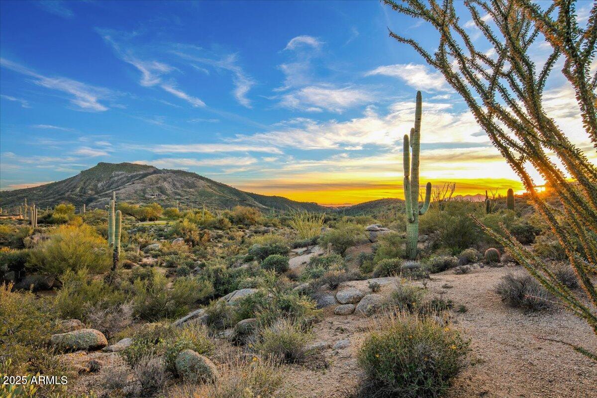 40790 N 94TH Street 272