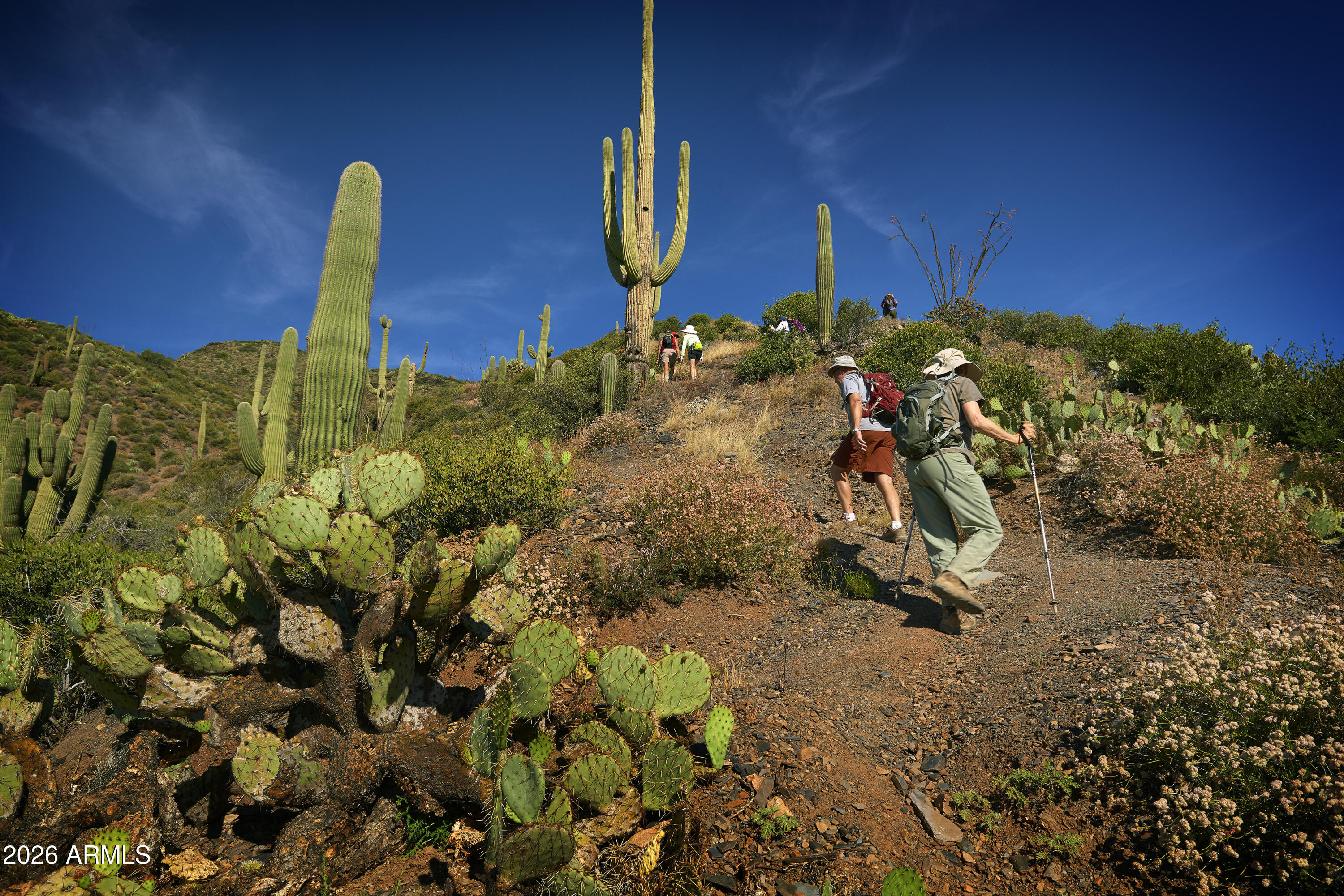 11105 E TAMARISK Way