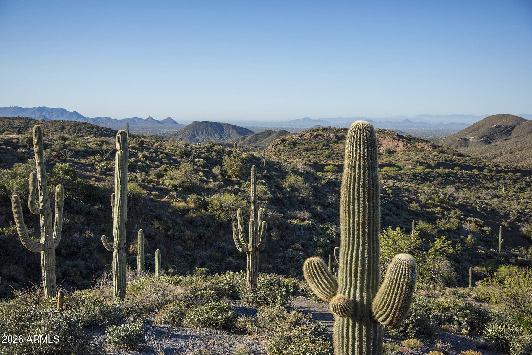 9795 E FORGOTTEN HILLS Drive