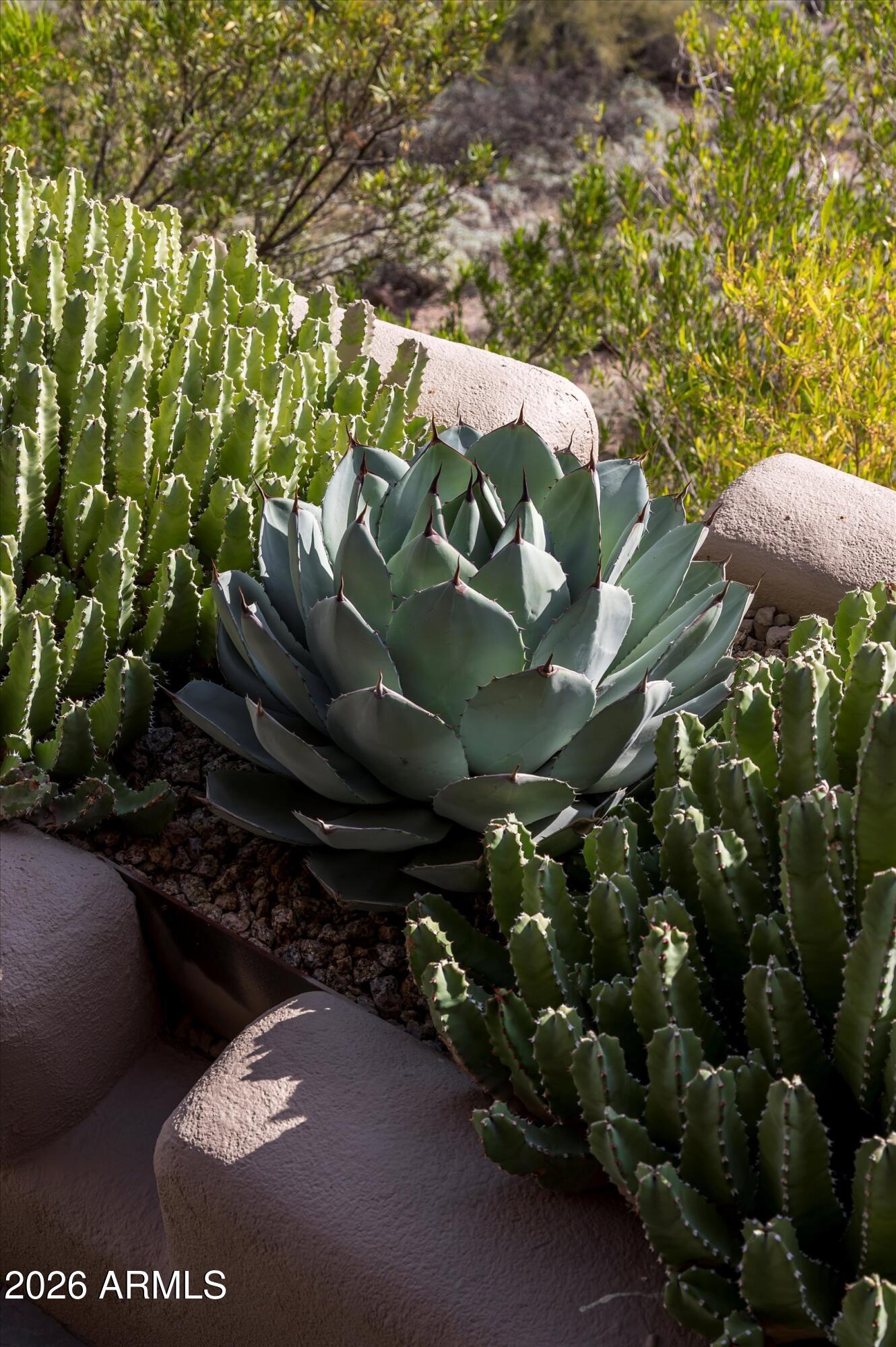 9795 E FORGOTTEN HILLS Drive