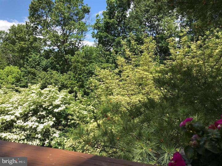386 HARTFORD SQUARE Unit: 71