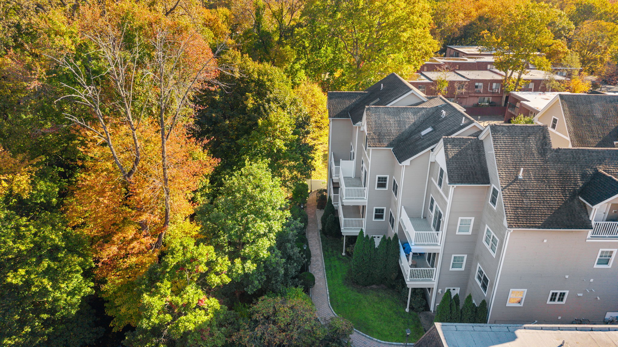 88 Maple Tree Avenue APT G