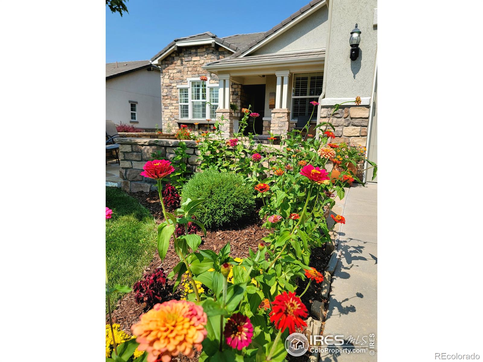 4517 Silver Mountain Loop