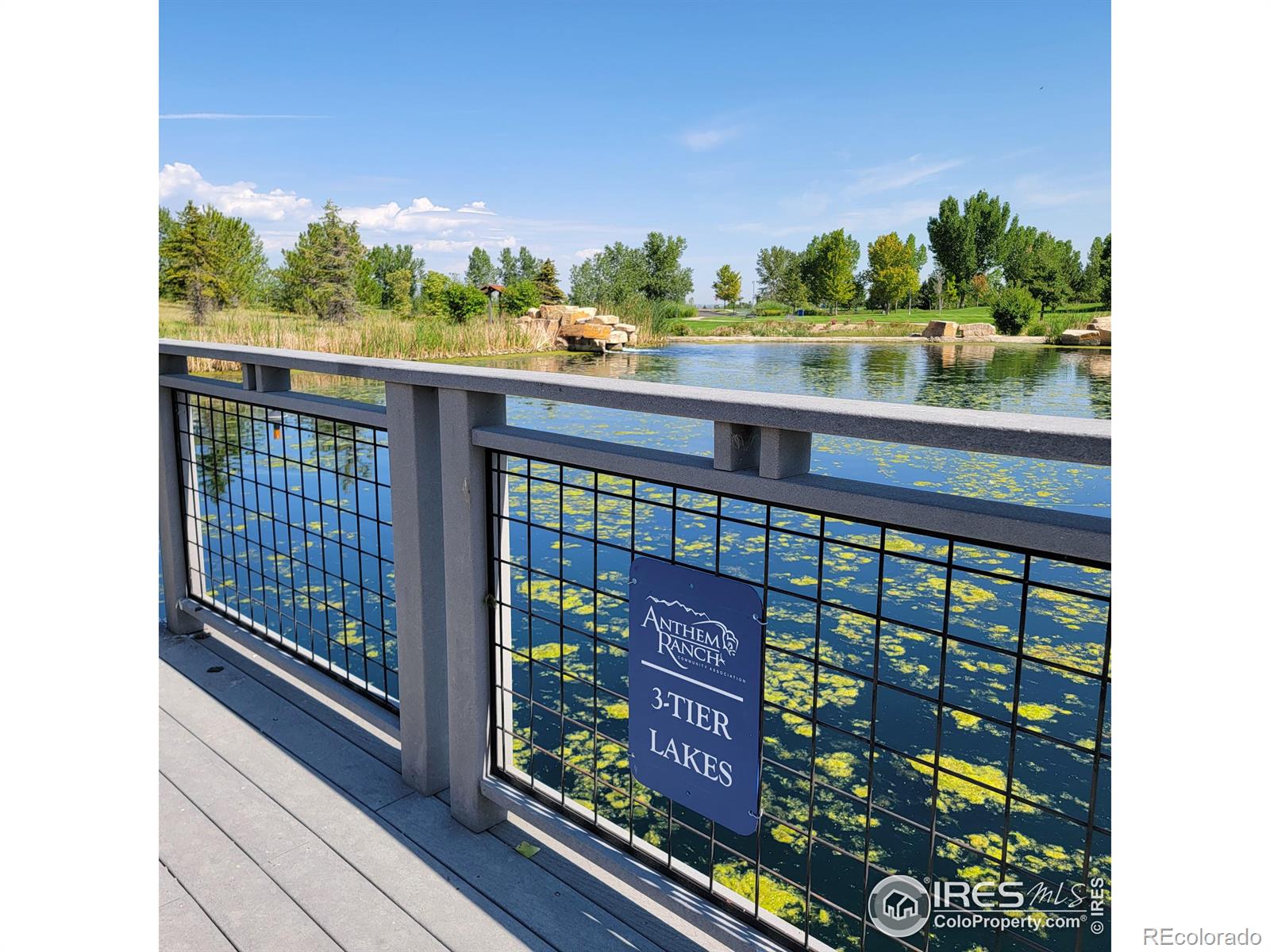 4517 Silver Mountain Loop