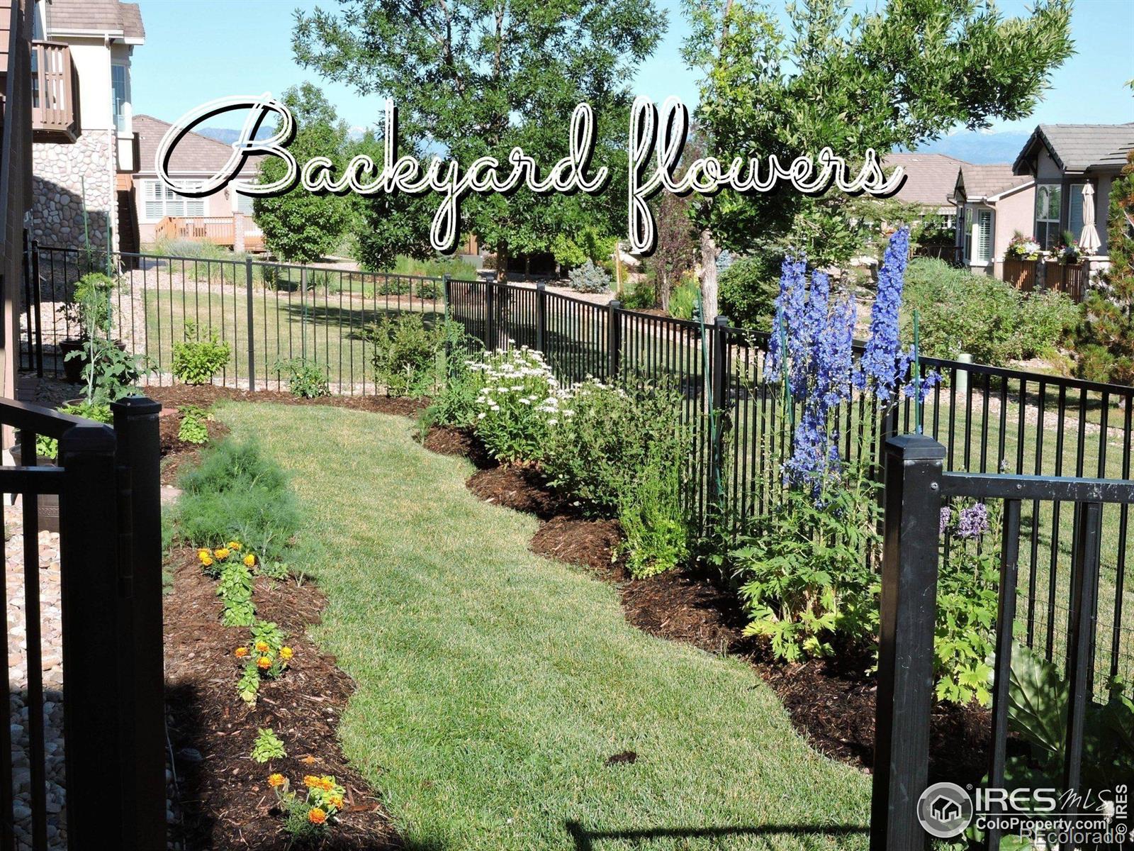 4517 Silver Mountain Loop