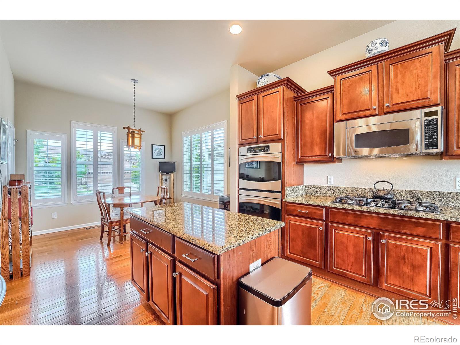 4517 Silver Mountain Loop