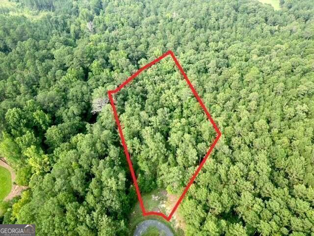 1151 Shadow Creek Way