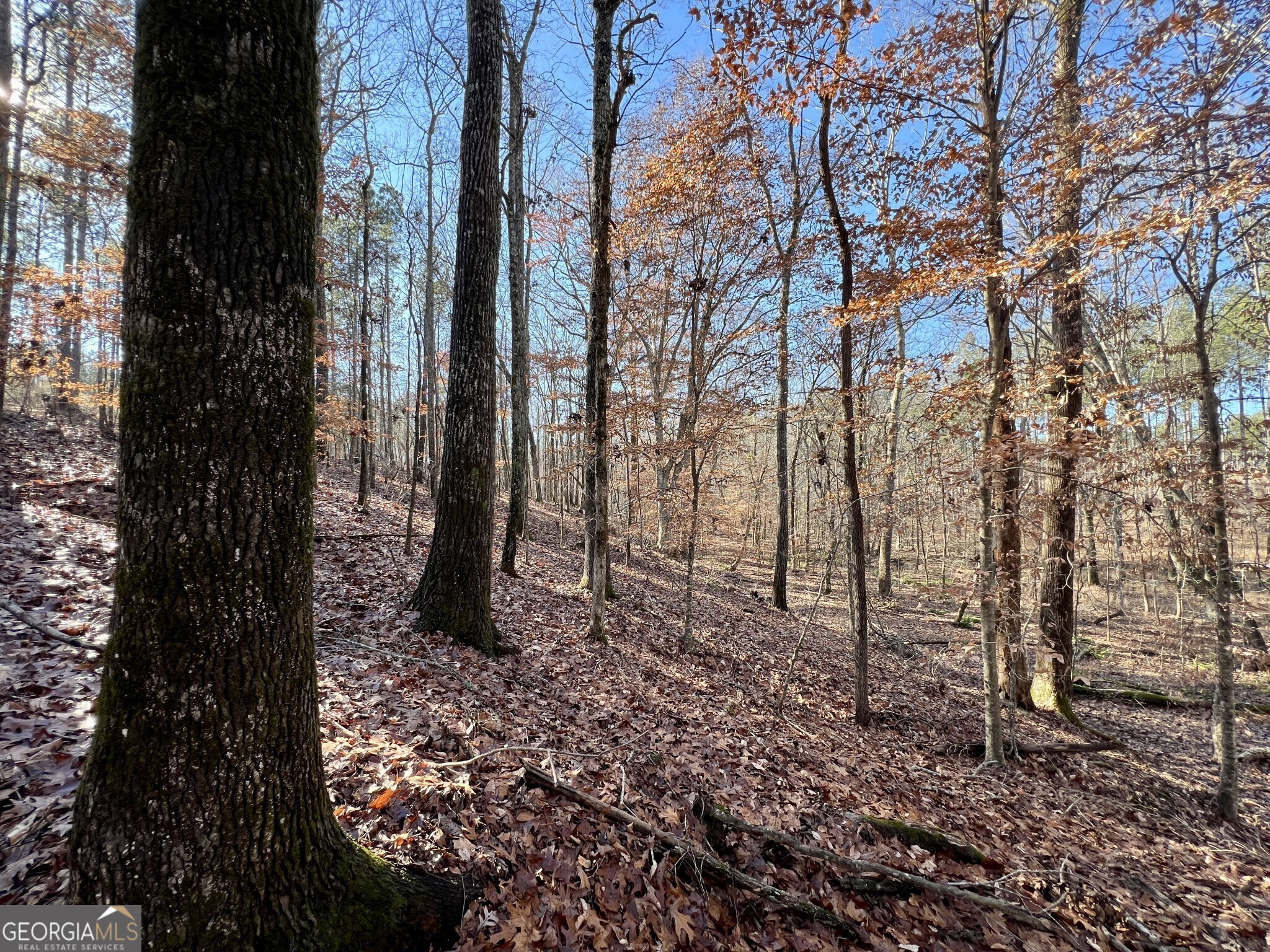 1938 Jones Ferry Road